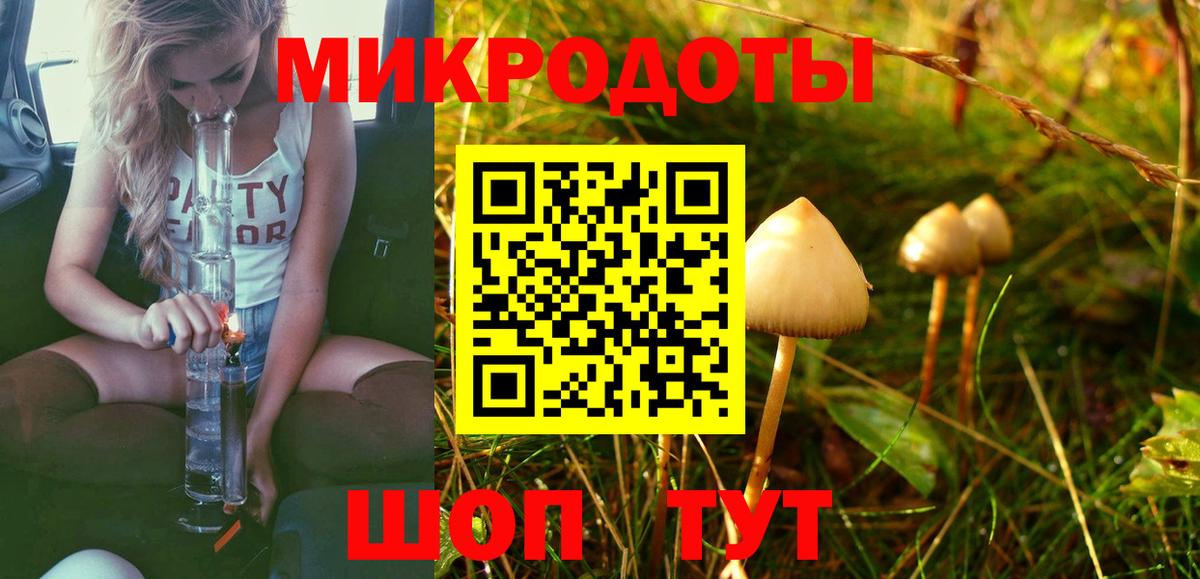 Ноябрьск  Галлюциногенные грибы Cubensis  Вход с VPN 
