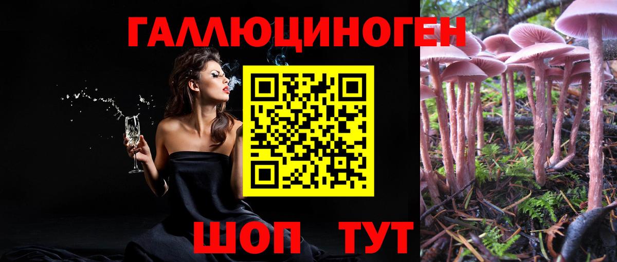 Псилоцибиновые грибы GOLDEN TEACHER Ноябрьск