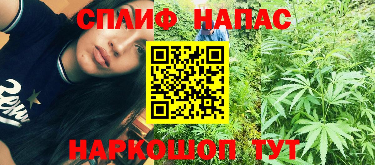 Бошки марихуана семена  Вход с VPN  Марихуана THC 21%  Ноябрьск  МАРИХУАНА план 